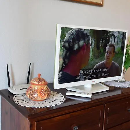 Delfina * بودغورا