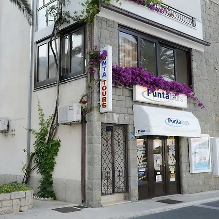 Delfina بودغورا