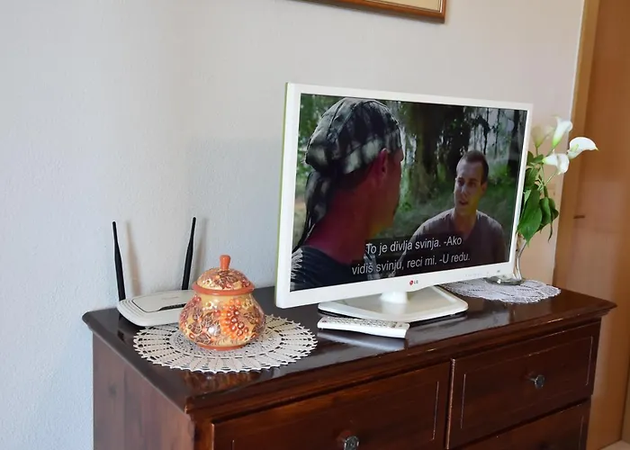 Delfina * 포드고라