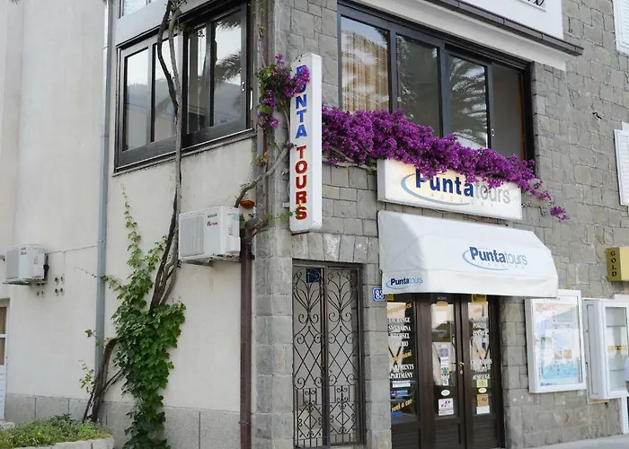 Delfina 포드고라